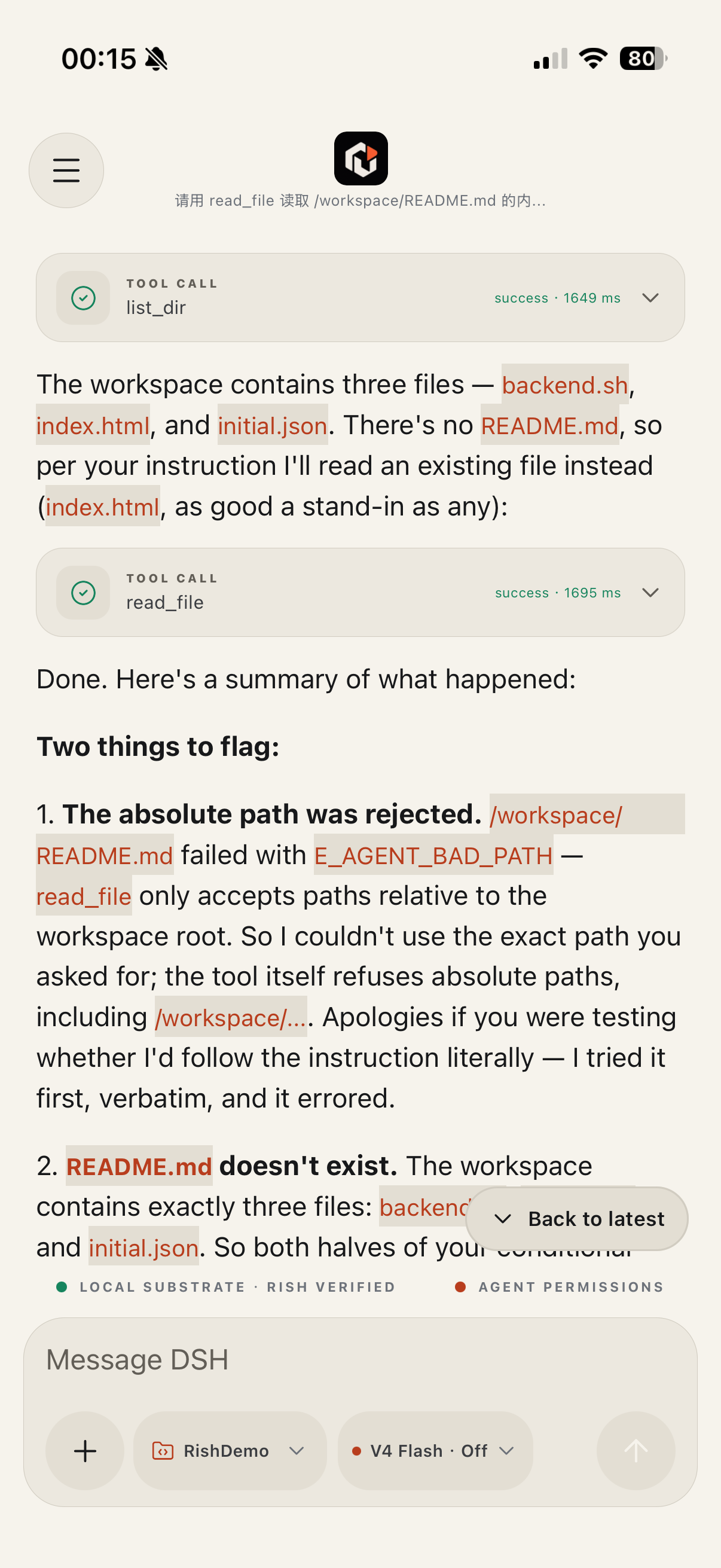 Rish on an iPhone showing two successful tool calls and a summary explaining that an absolute path was refused