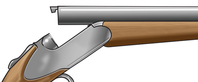 What are the basic Parts of a Shotgun Shell?