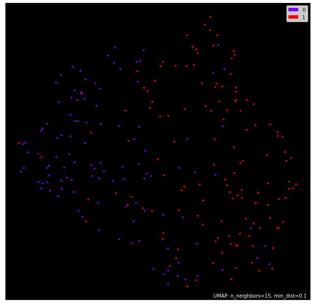 UMAP of Train Dataset