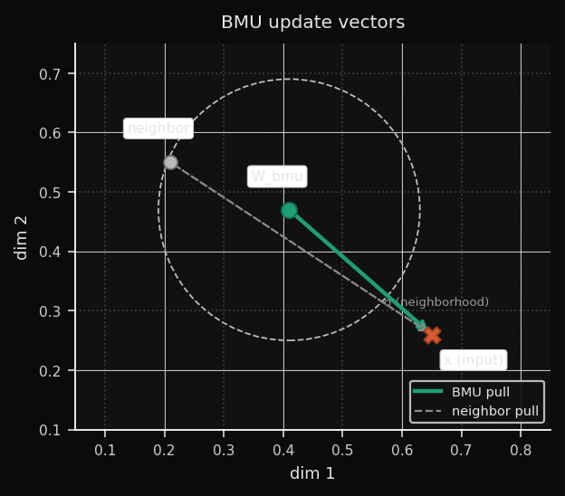 BMU and neighbor update vectors