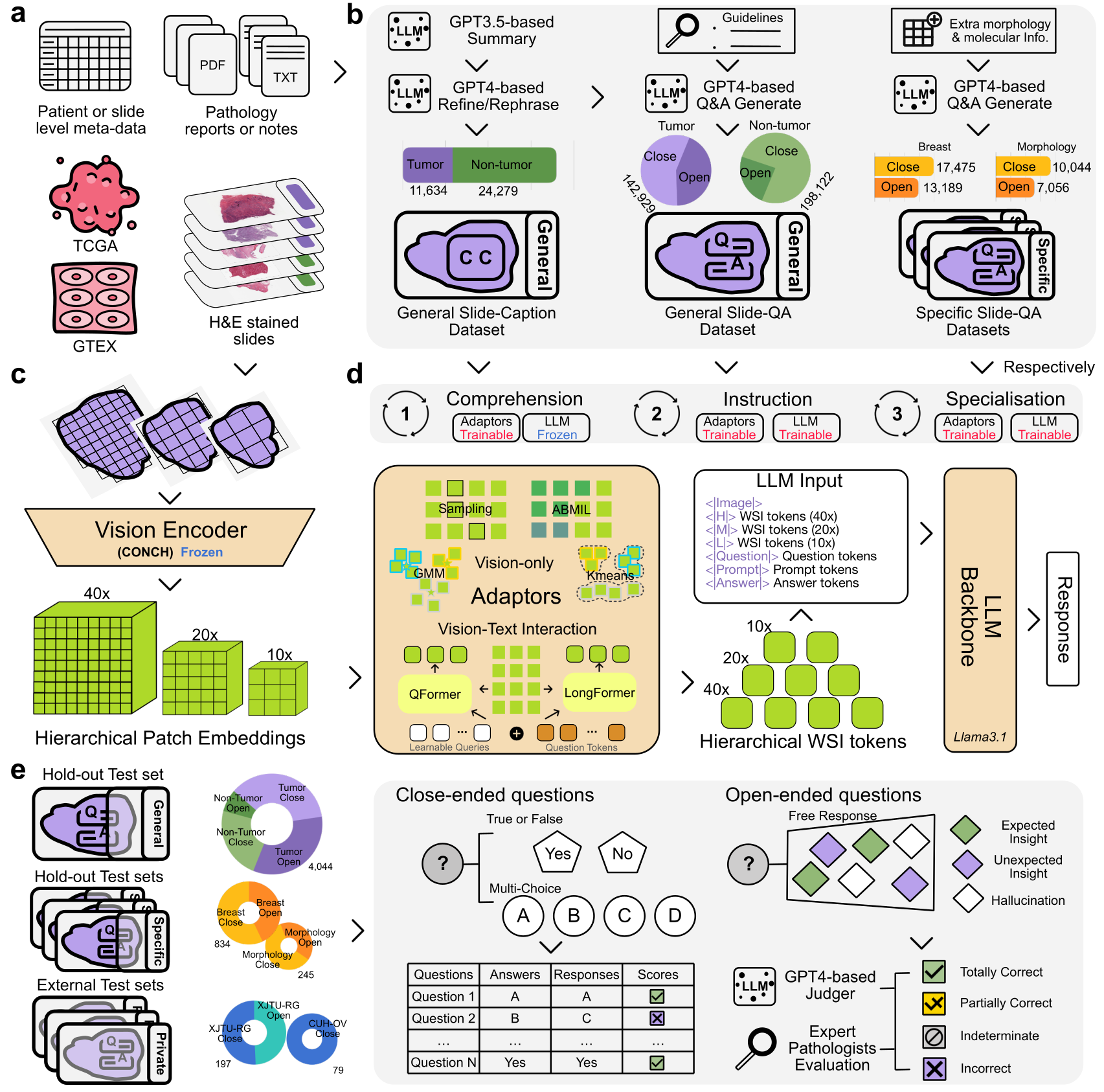 Study overview