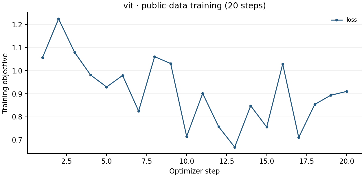 Vision Transformer · ViT-B/16 raw 20-step training losses on beans