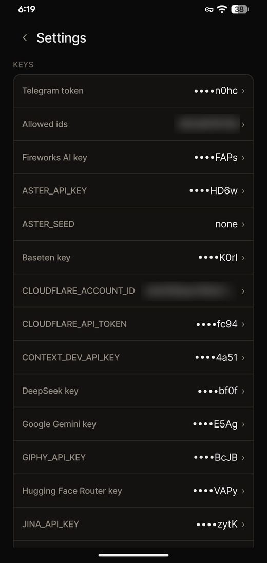 The settings screen listing keys, all masked