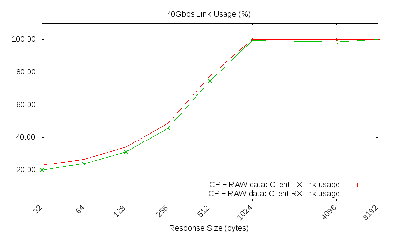 TCP raw link usage