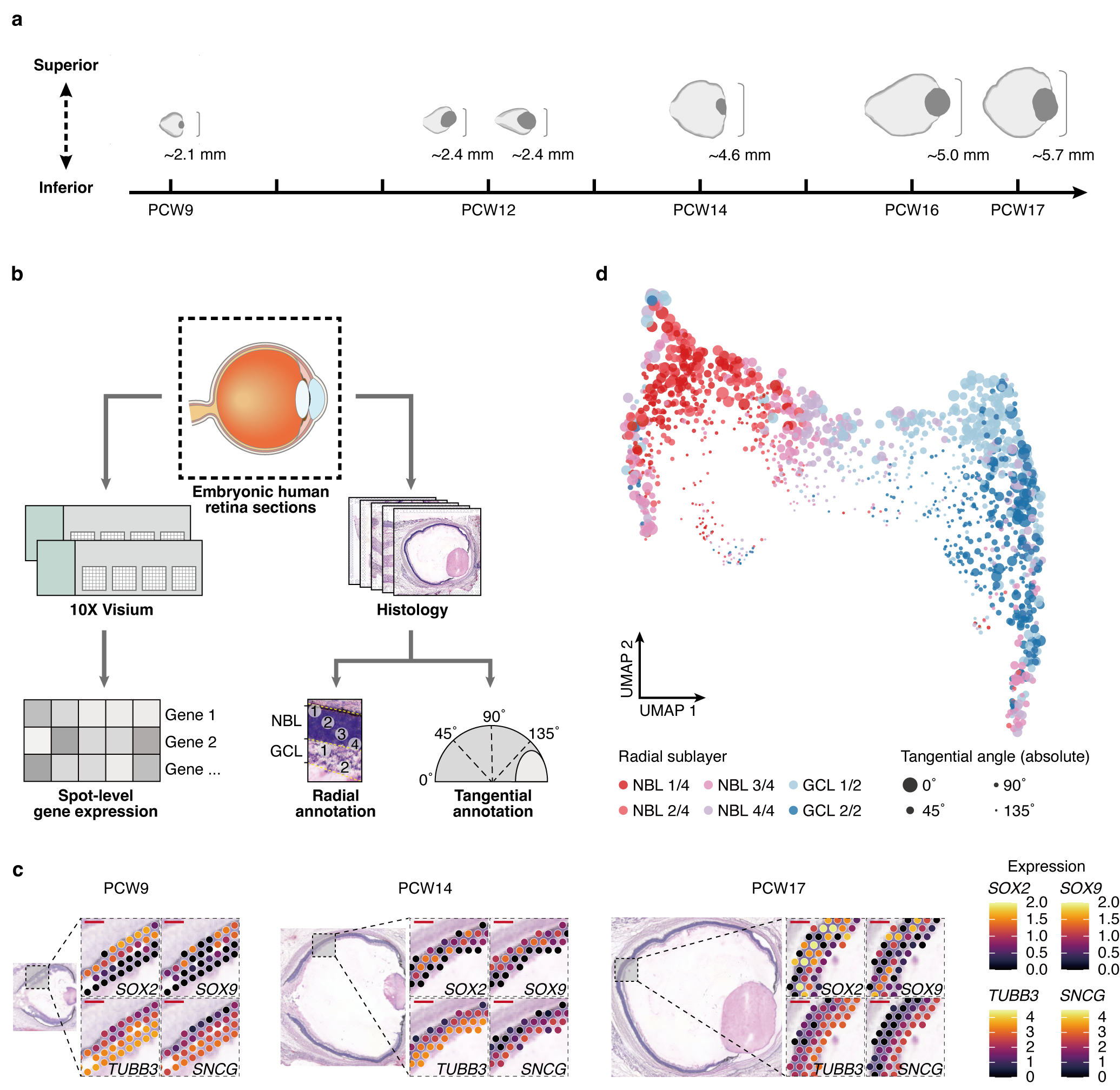 Figure 1 - Overview