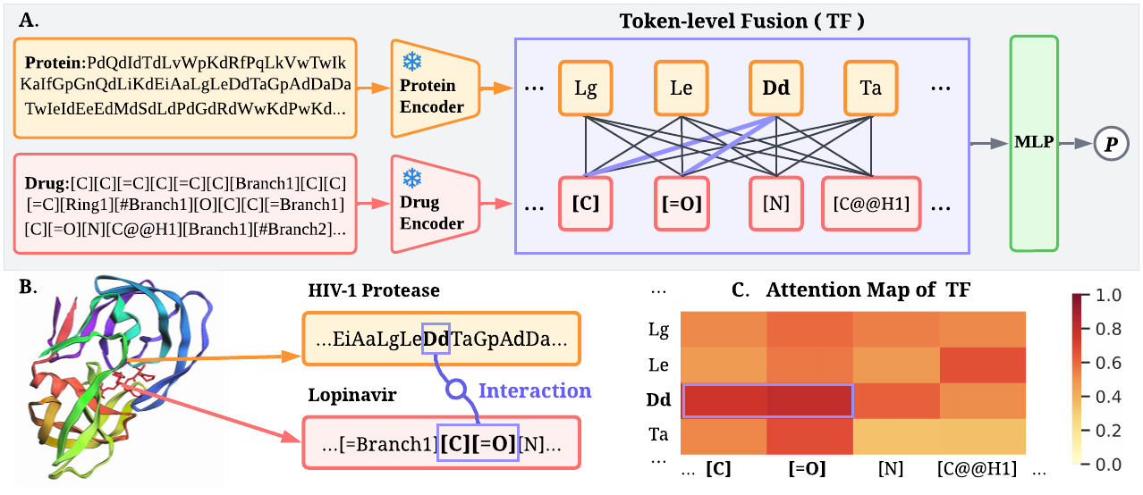 FusionDTI