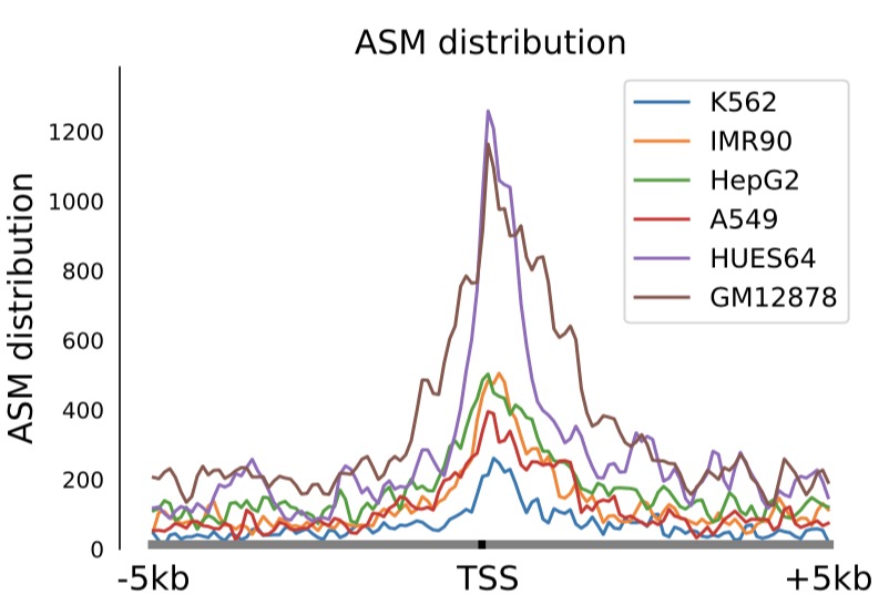 asmsite