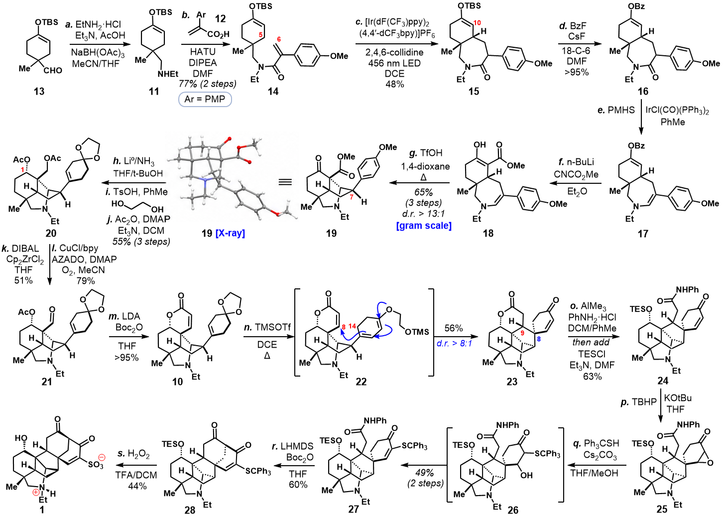ChemDraw reconstruction of a twenty-structure synthesis scheme