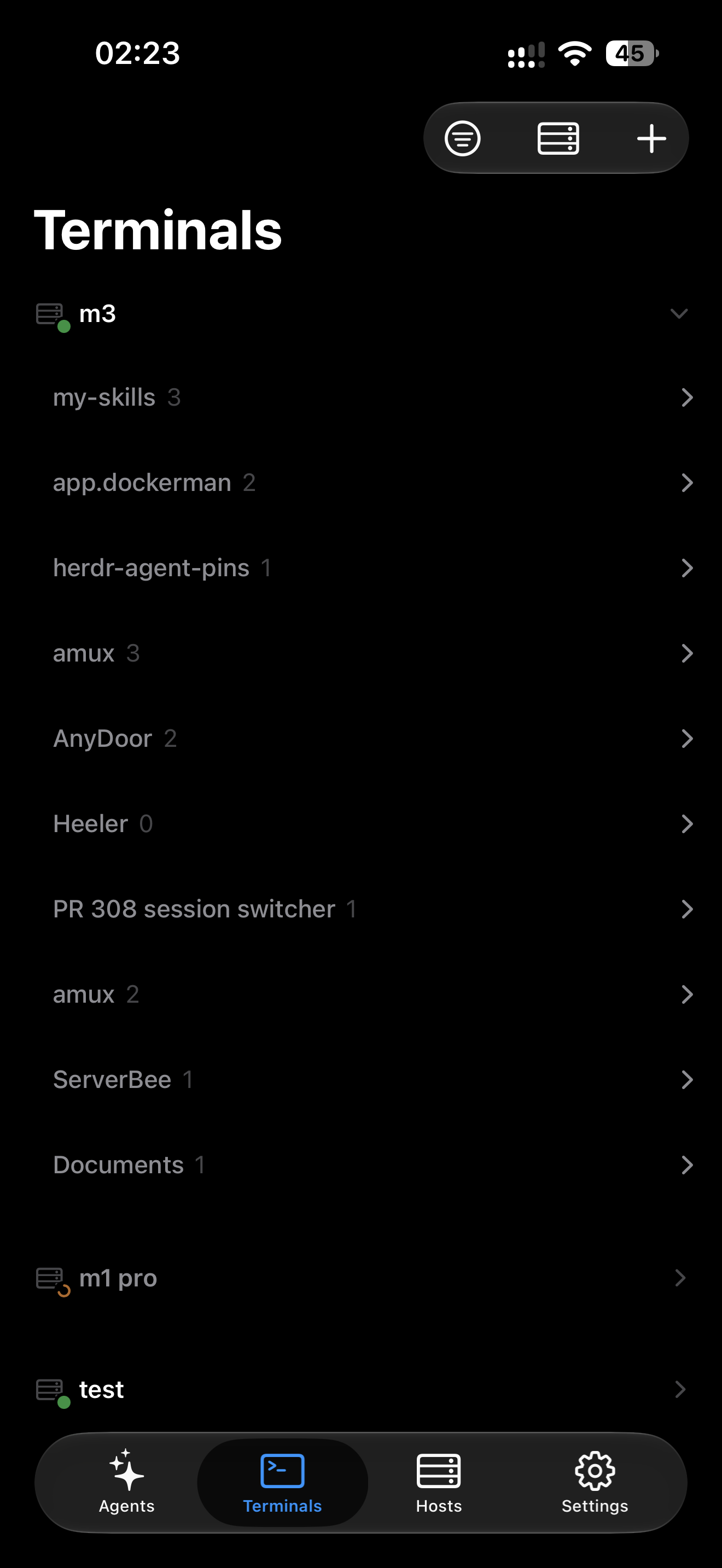 Terminals tab listing shell panes by Host and Workspace on iPhone