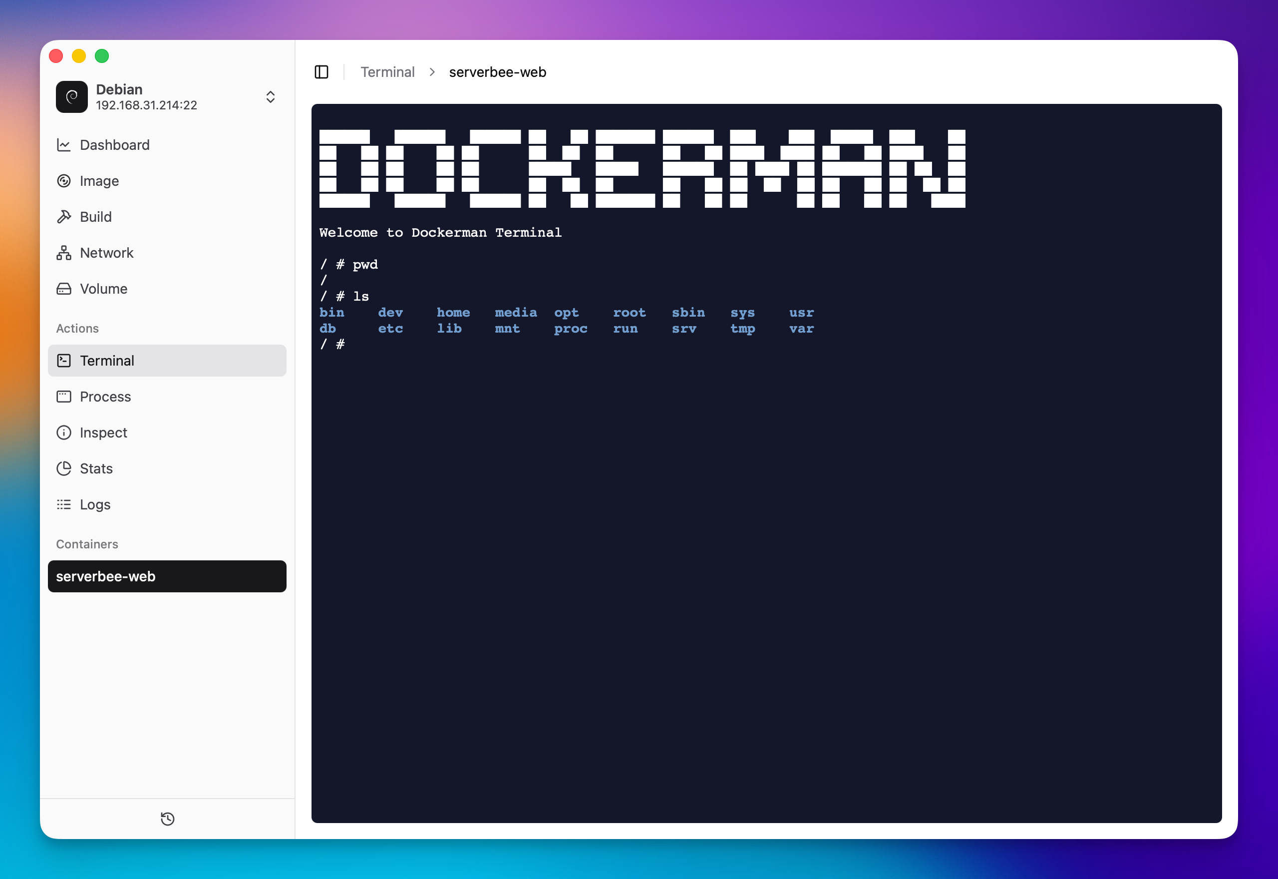 Terminal Screenshot