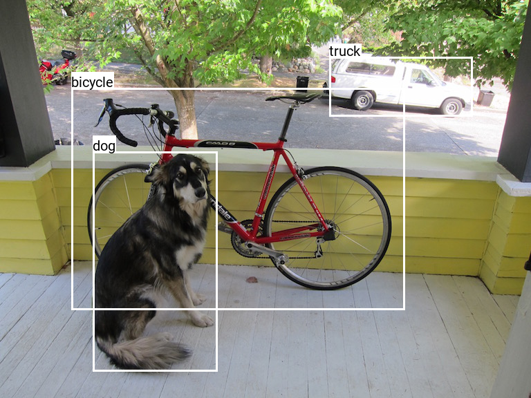 dog, bicycle and truck