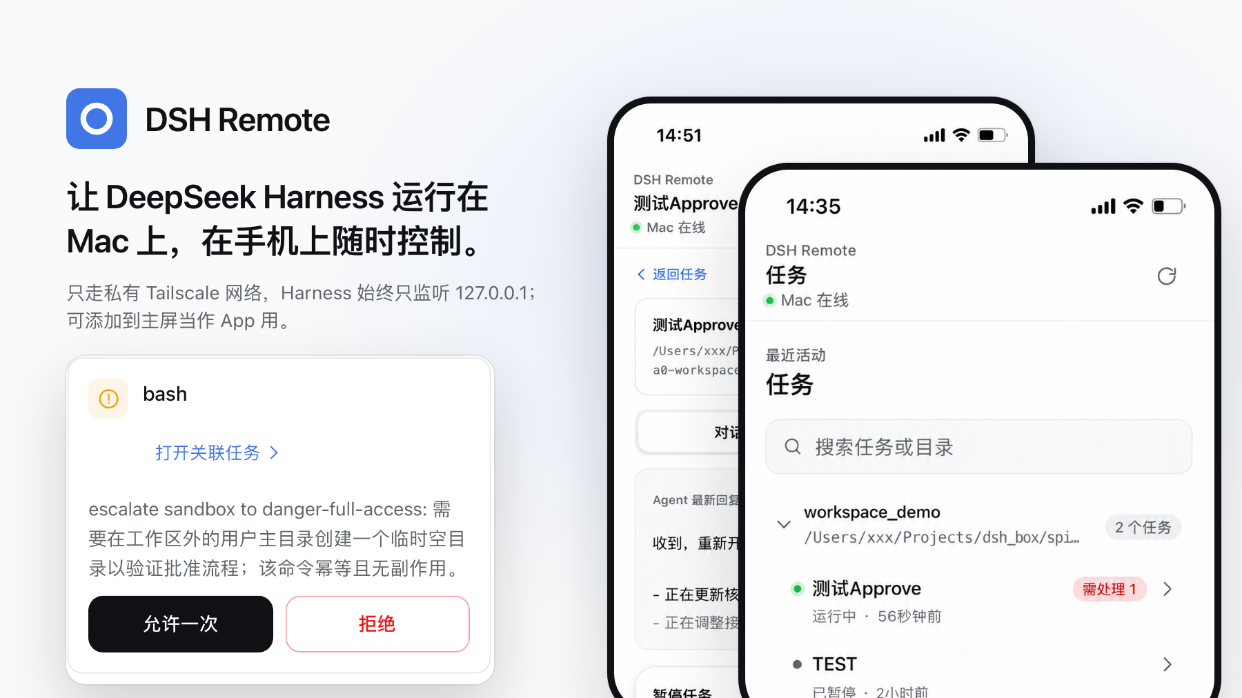 手机上的 DSH Remote：任务列表里有一个正在运行的任务，以及一条可以「允许一次」或「拒绝」的权限请求。