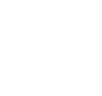 zsh