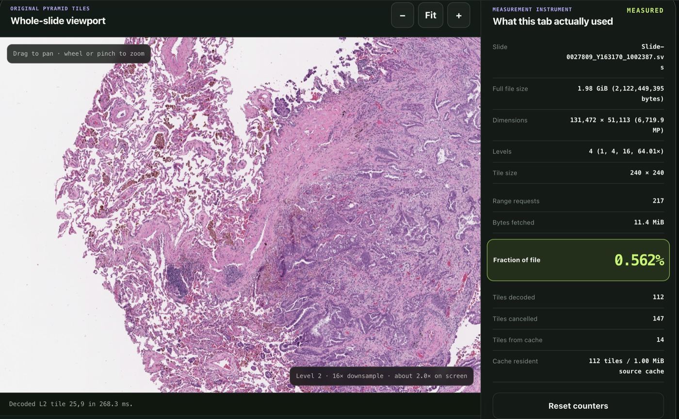 Whole-slide viewer showing a 131,472 × 51,113 pathology slide from a 1.98 GiB Aperio SVS file after fetching 11.4 MiB, 0.562% of the source, for the displayed viewport