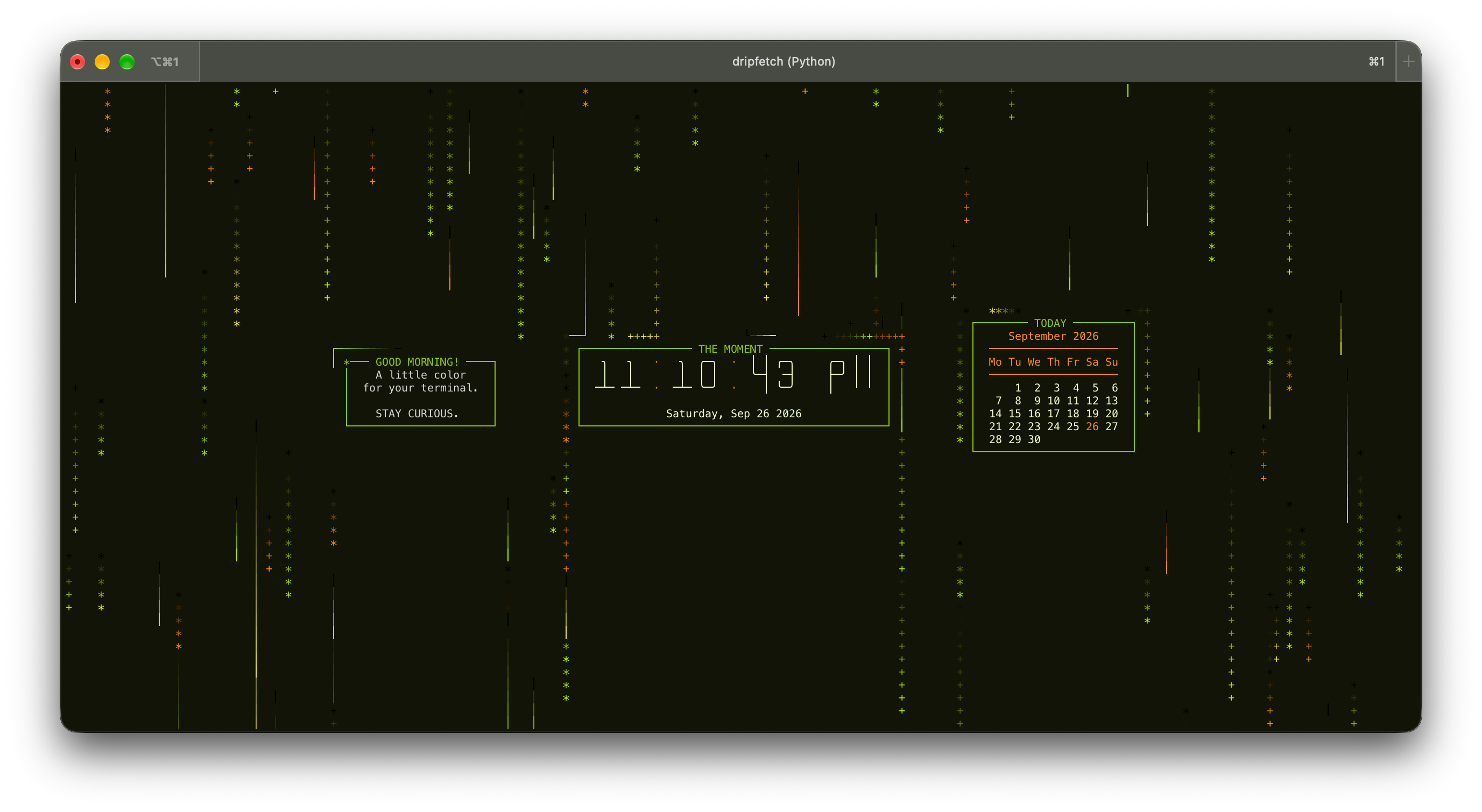 Citrus Pop theme