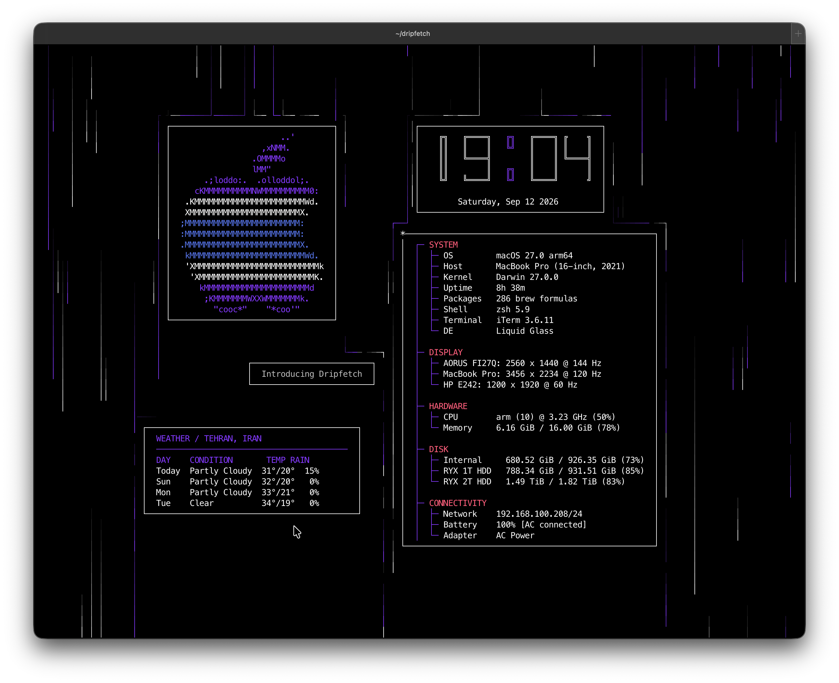 Dripfetch running in a terminal