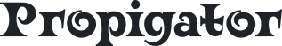 Propigator – Typed properties over untamed data