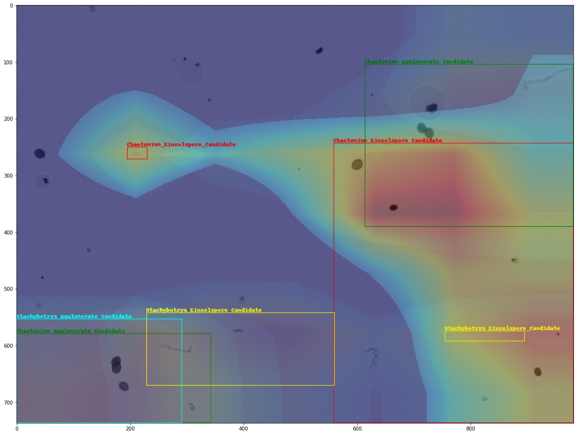 Grad-CAM++:ResNet50