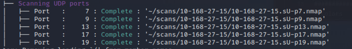 custom-scan-8-udp