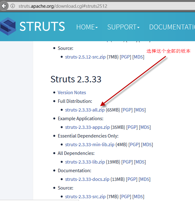 Struts2.3