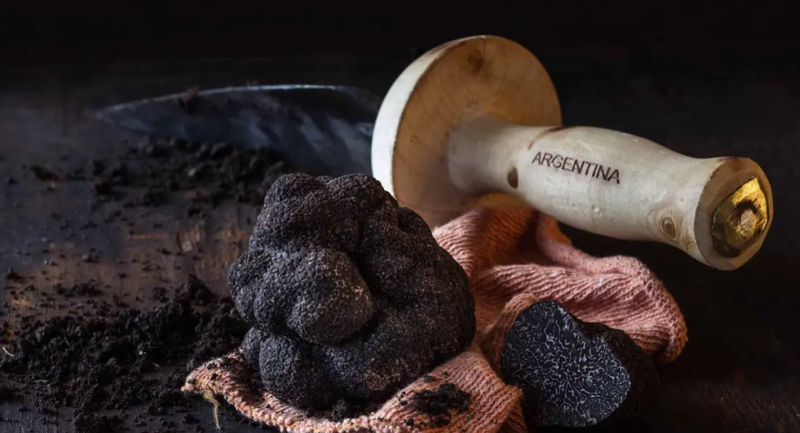 El círculo EZSENCIA