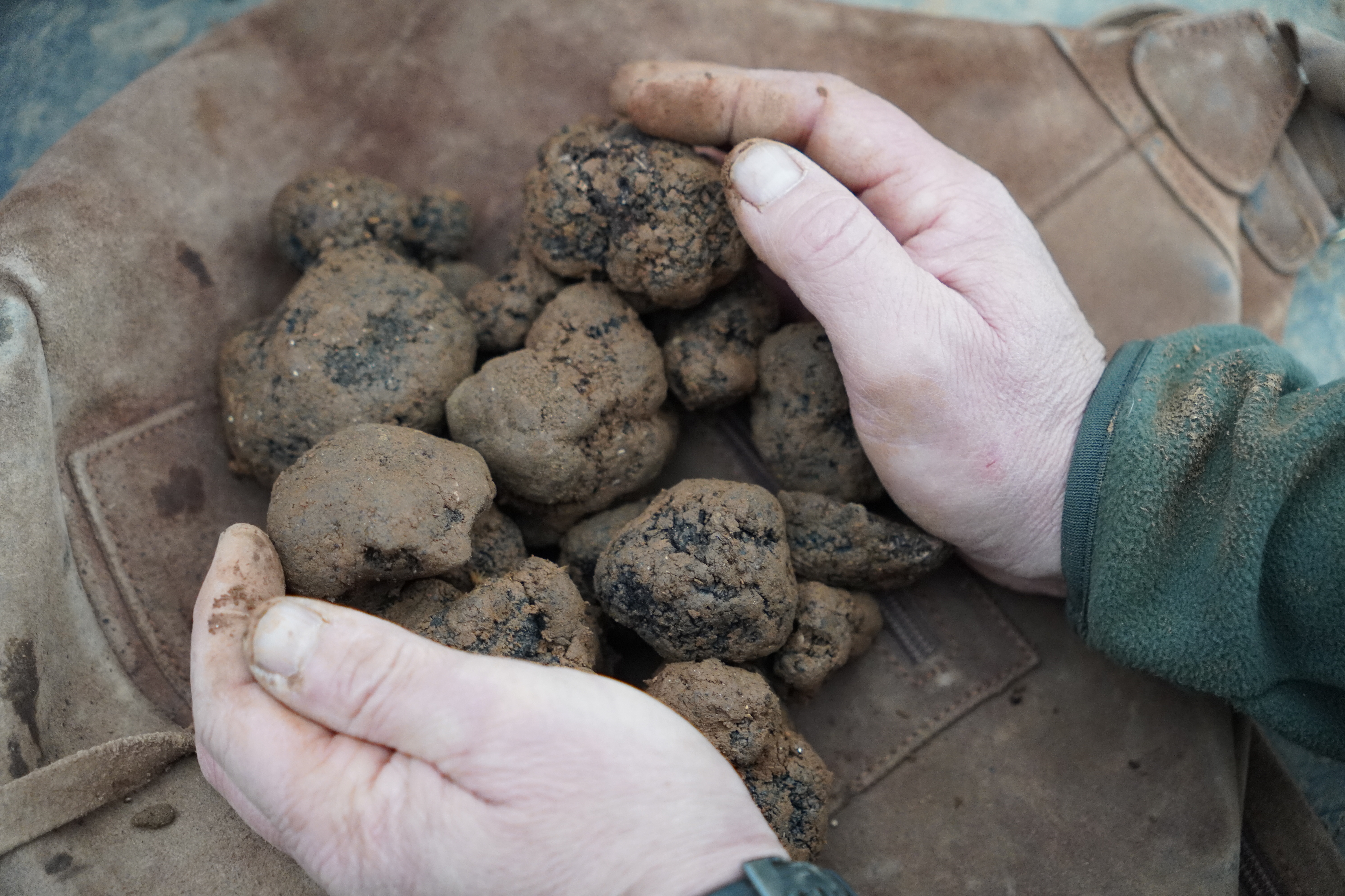 Ezsencia en Instagram