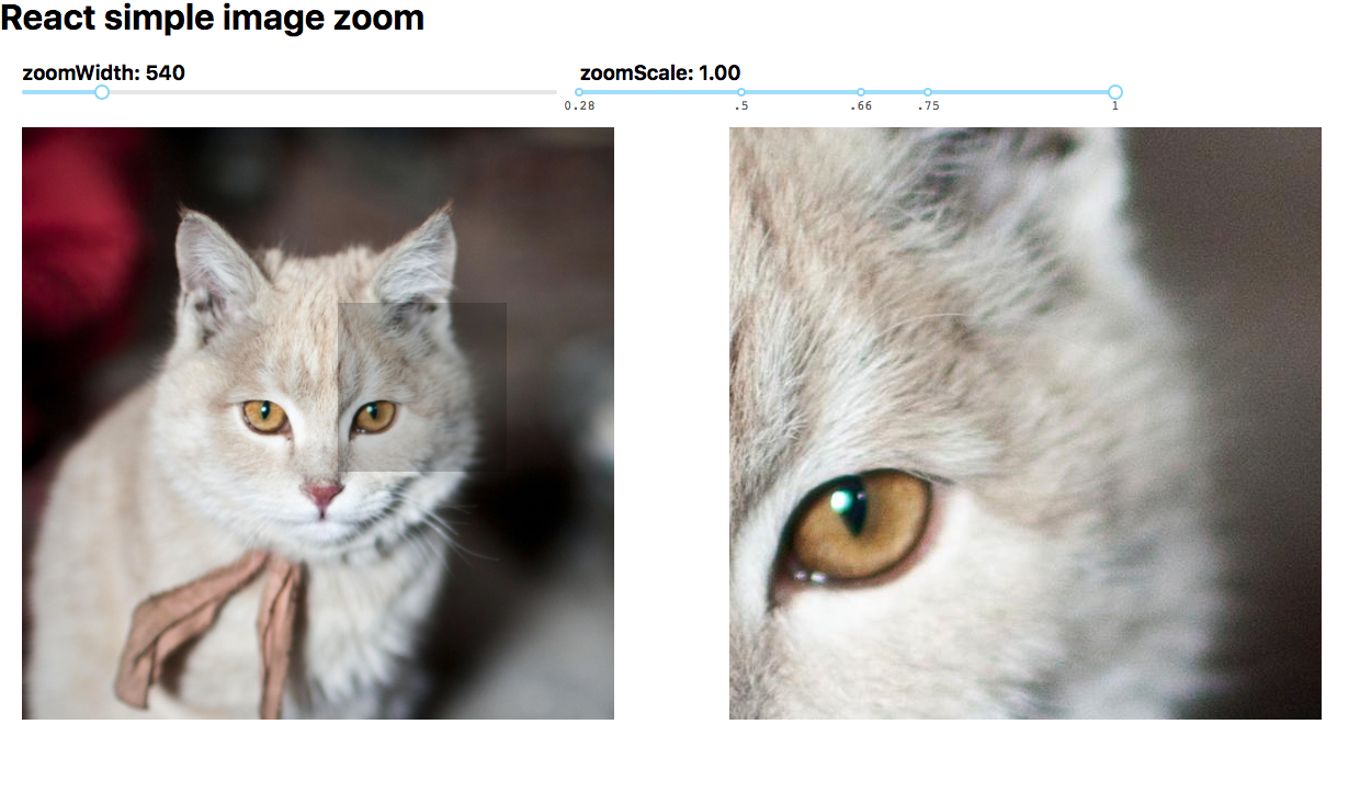 react-simple-image-zoom