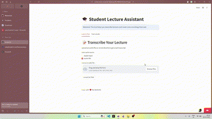 Student Lecture Assistant