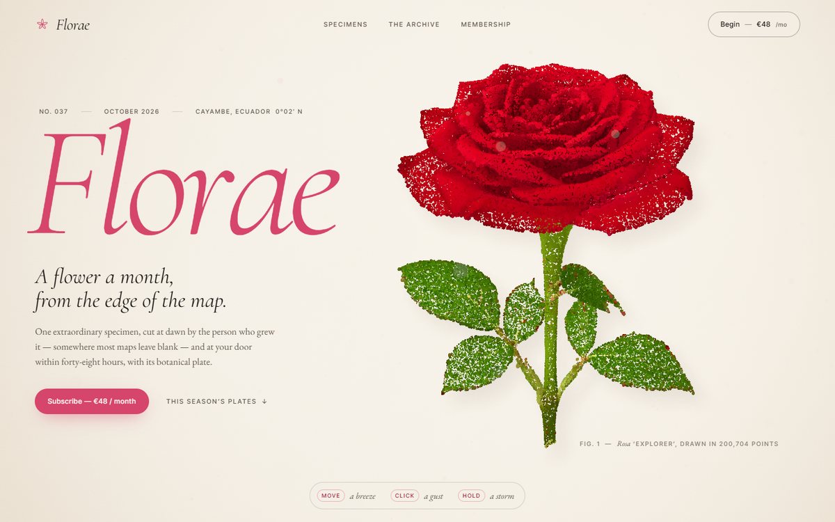 Florae website with a red rose on an ivory canvas
