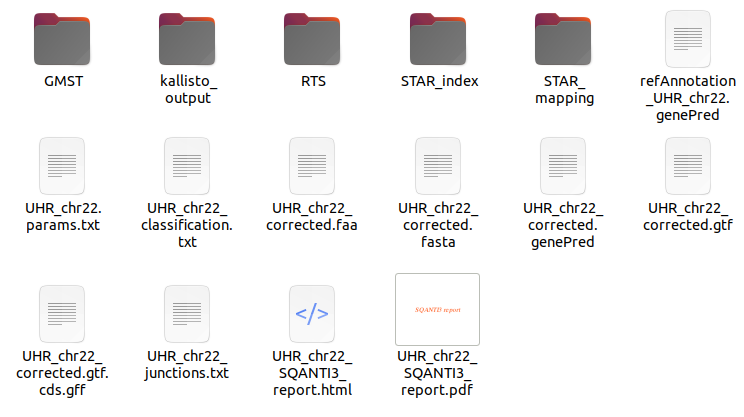 SQANTI3 QC Output Example