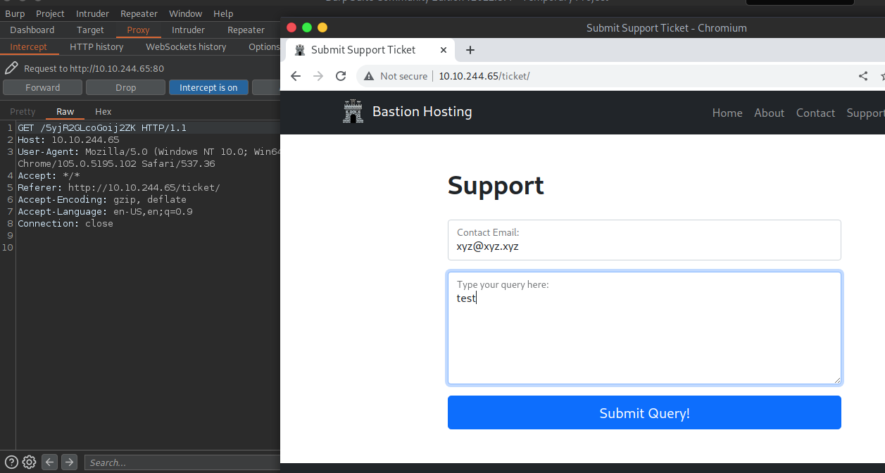 Example XSS Attack | burpsuite