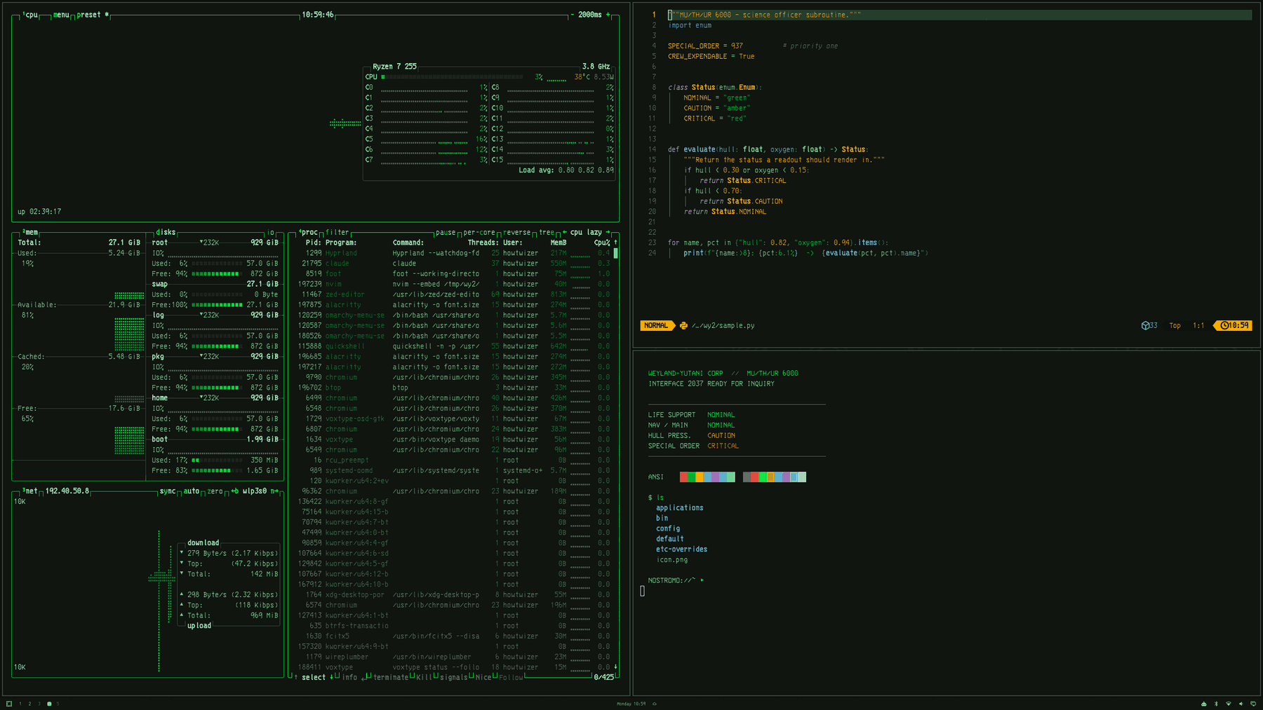 Terminal, btop, nvim