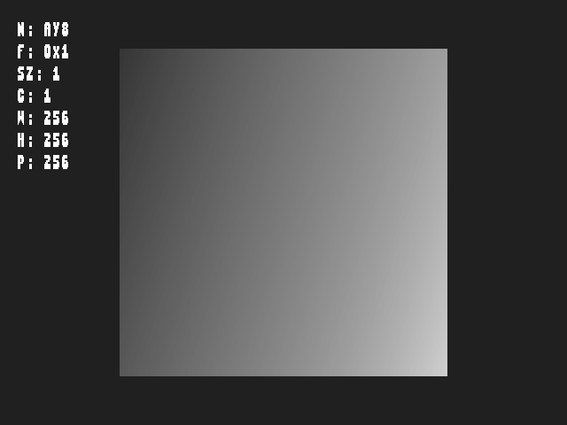 Test result for Texture_format::TexFmt_AY8