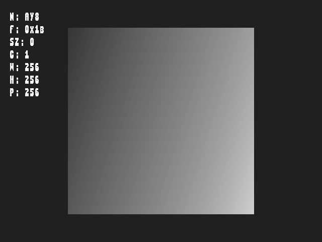 Test result for Texture_format::TexFmt_AY8_L