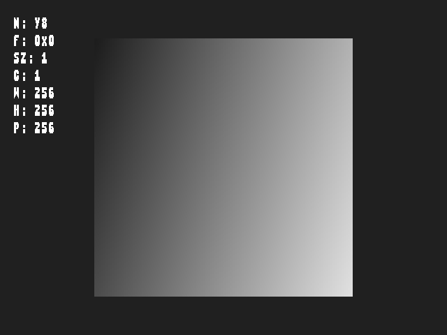 Test result for Texture_format::TexFmt_Y8