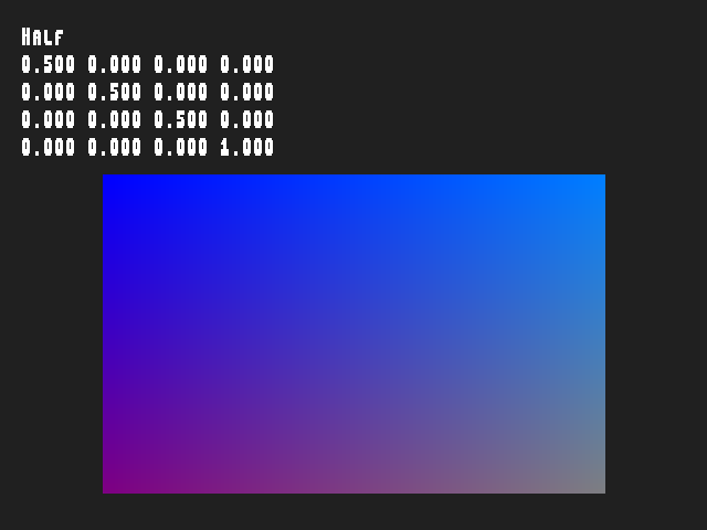 Golden image for Texture_Matrix::Half in xemu