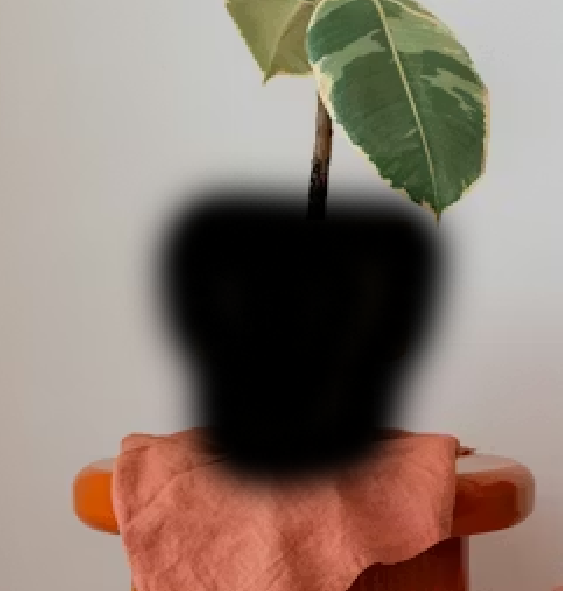 Mask Example