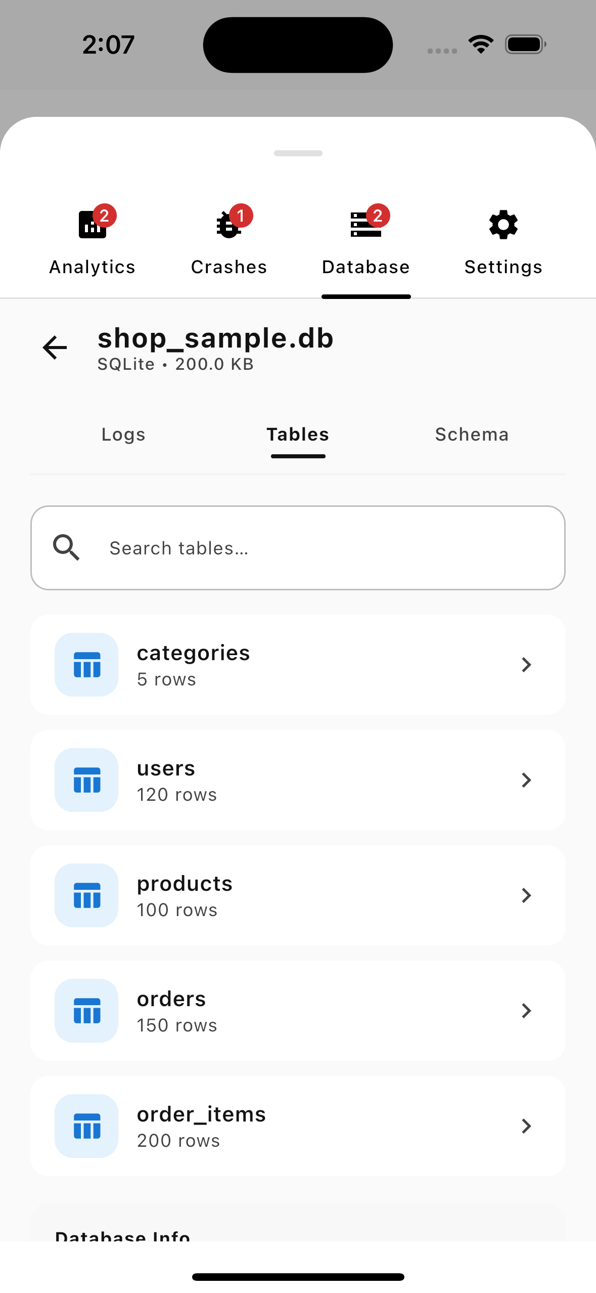 Database Inspector