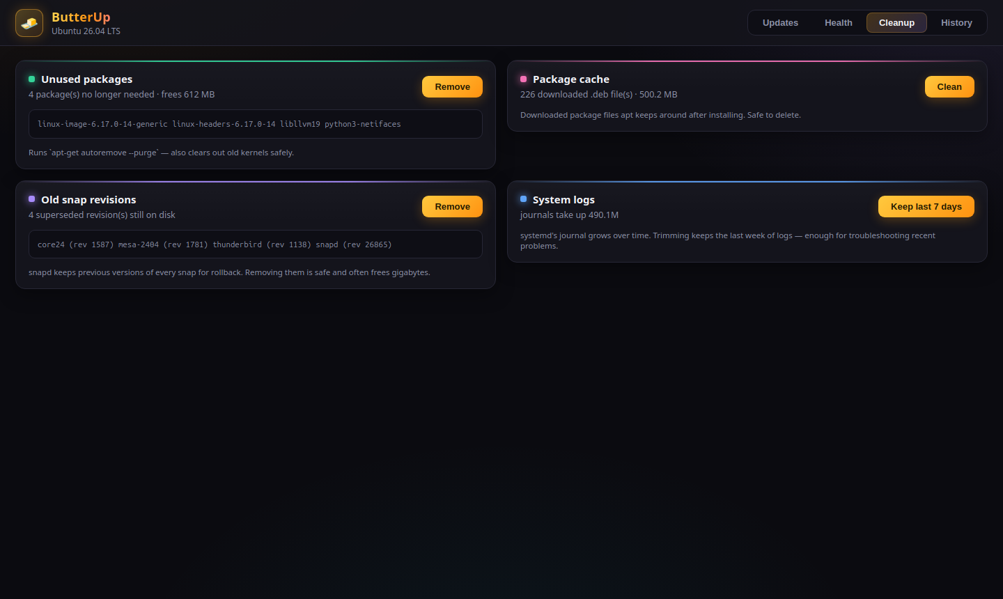 docs/screenshots/cleanup.png
