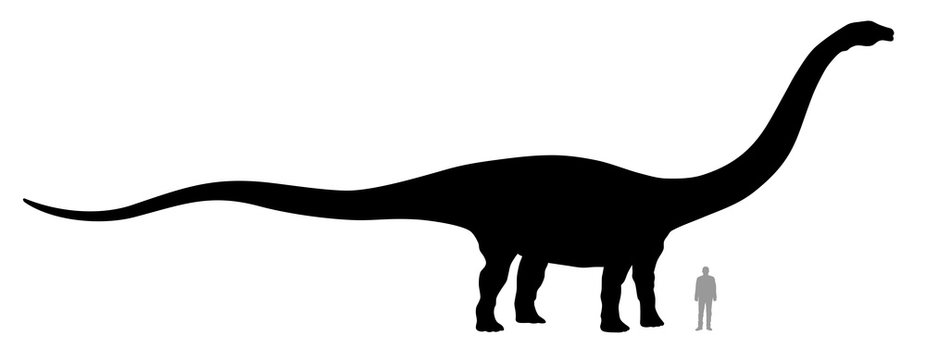 Diplodocus