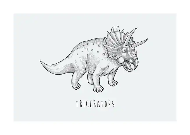 Triceratops