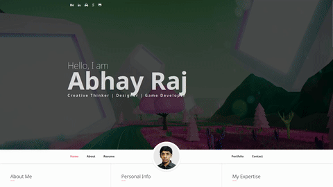 Portfolio