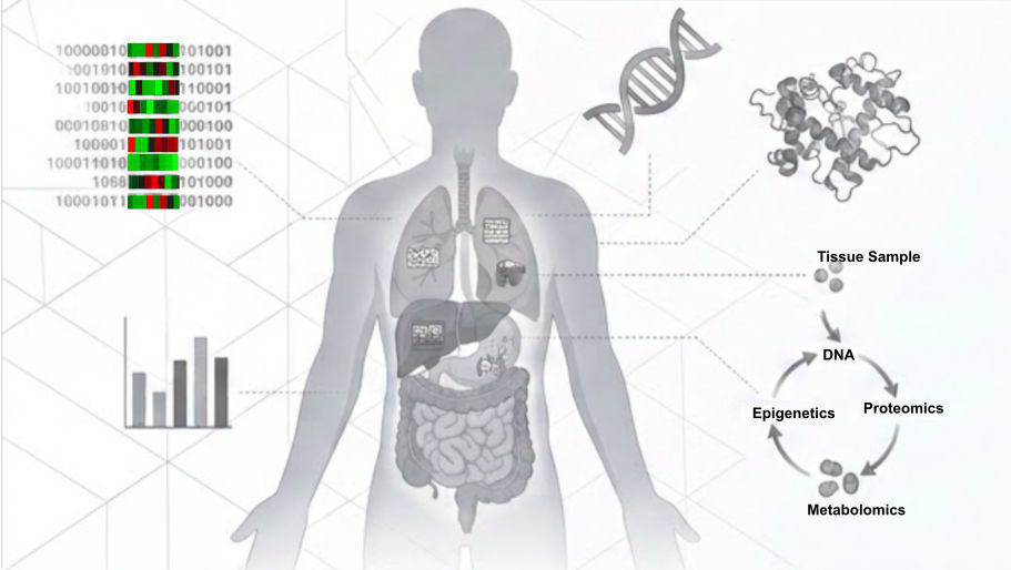 Multi-omics human digital twin correlation diagram