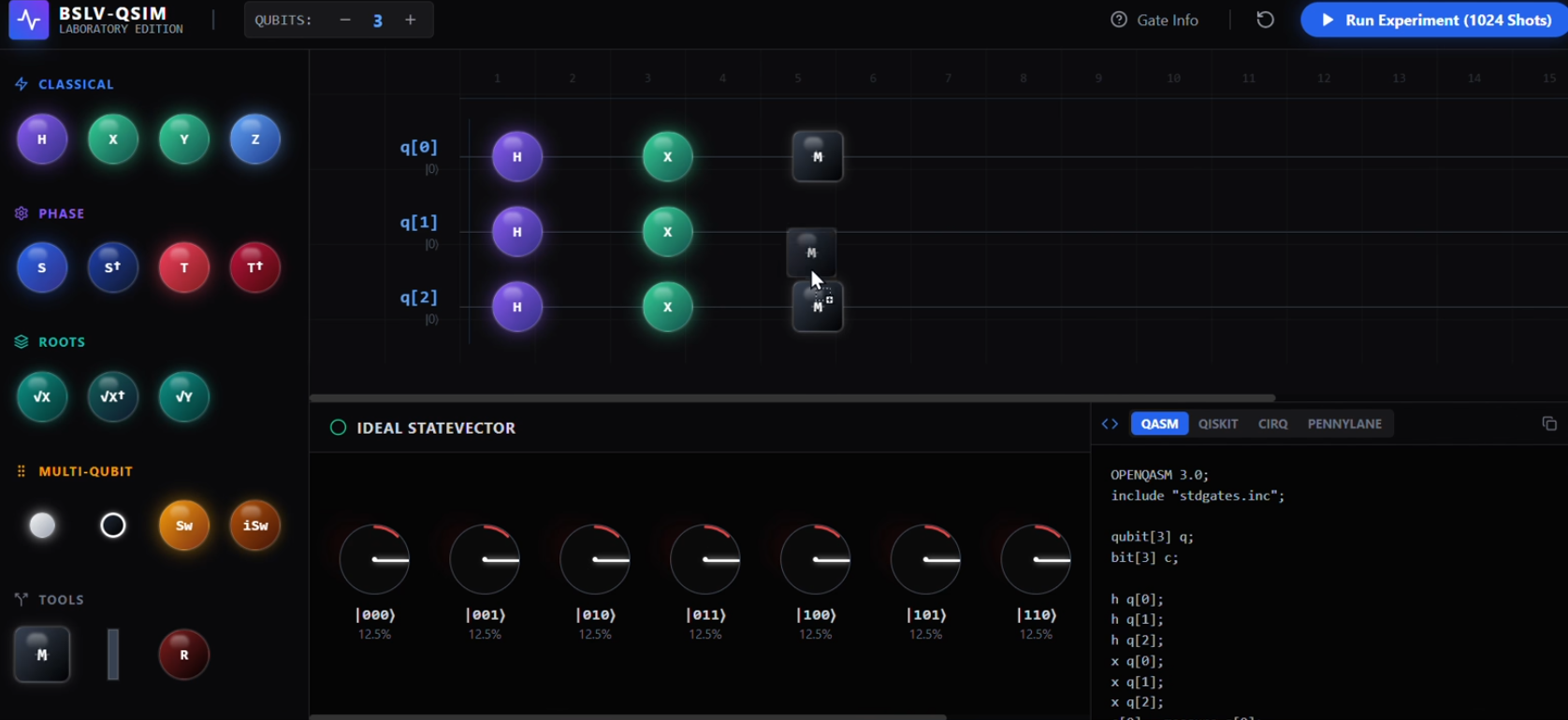 Open Quantum Simulator