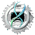 Bio-Silicon Logo