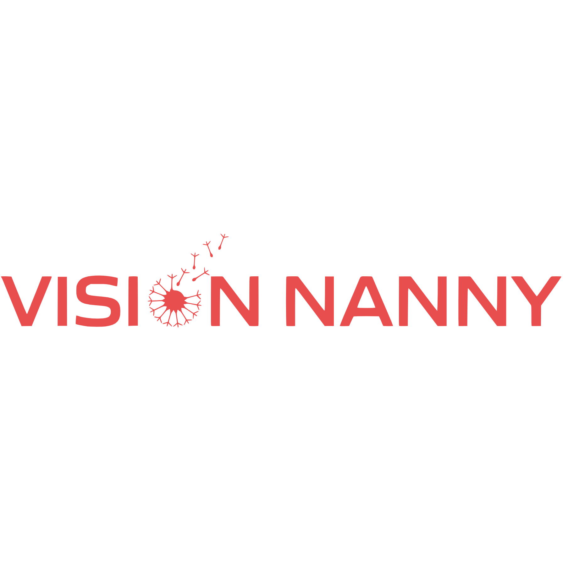 Vision Nanny