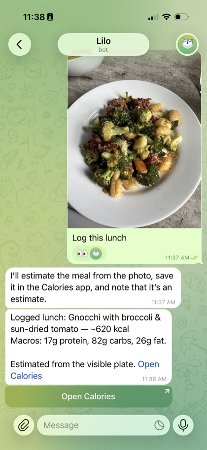 Telegram chat asking Lilo to track food and calories