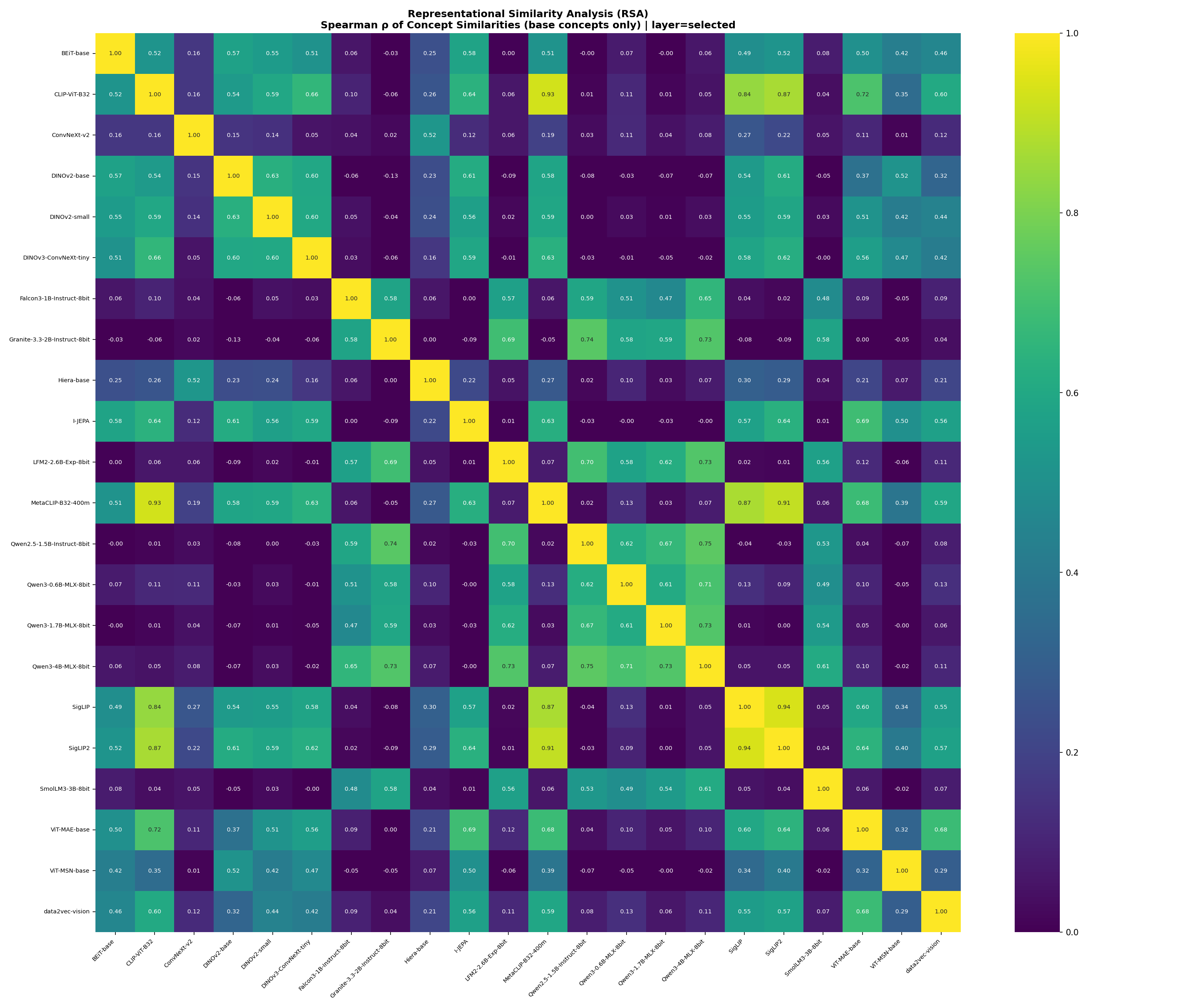 RSA heatmap showing family-local convergence