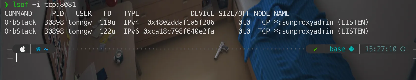 8081 port