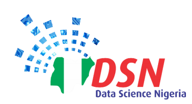 DSN logo